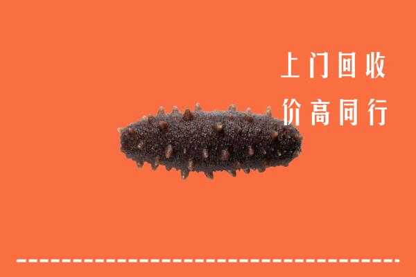 白城高价回收海参
